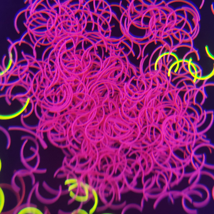 C形纤维